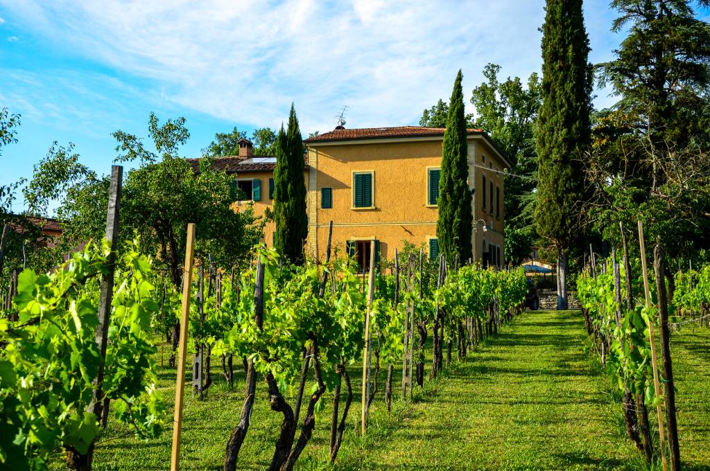 villa-vettori-agriturismo-toscana-con-piscina-esterni-07