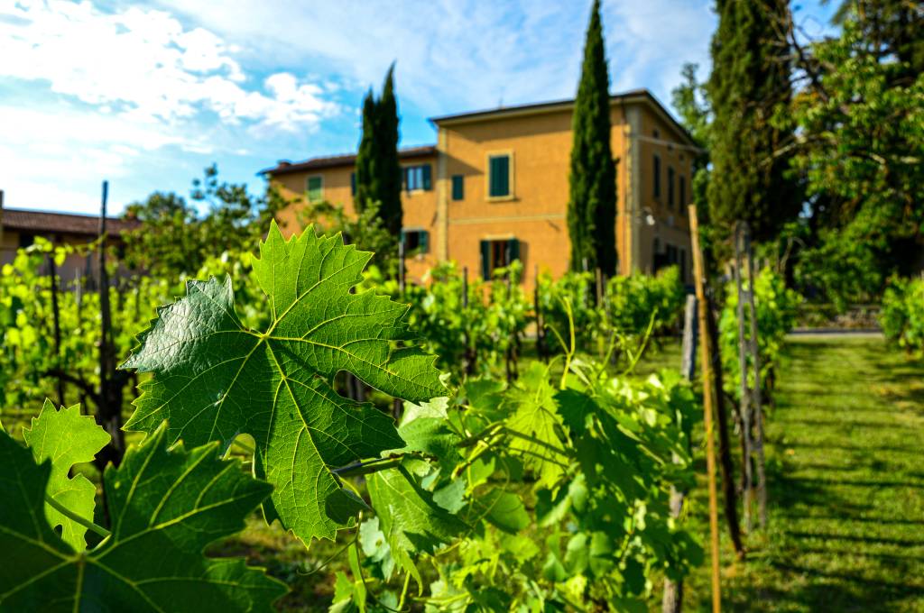 villa-vettori-agriturismo-toscana-con-piscina-esterni-08